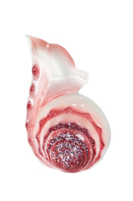 Арт. 56-56179 Ваза декоротивная "Ракушка 4" 25 см. 1e267393-ecac-11e8-9ff4-3150000fbf9d