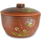 59-911 Блюдо для запекания "Зеленый одуванчик" 2.5л; высота - 24см, ширина - 19см, длина - 19см BL_59-911